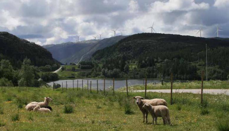 <center>Storheia (5MW) fra Mælan ved Åfjord sentrum