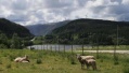 <center>Storheia (5MW) fra Mælan ved Åfjord sentrum